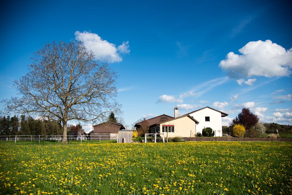 Hof-Tschannen Lengwil Dış mekan fotoğraf